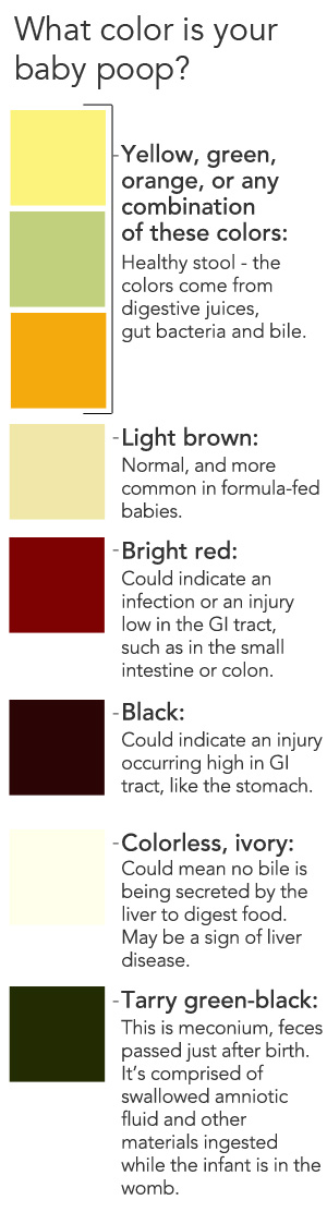 Normal Colours For Baby Poop Sudbury Community Midwives